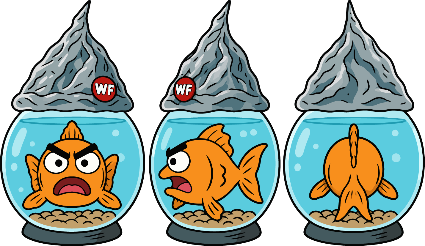 Hecklefish