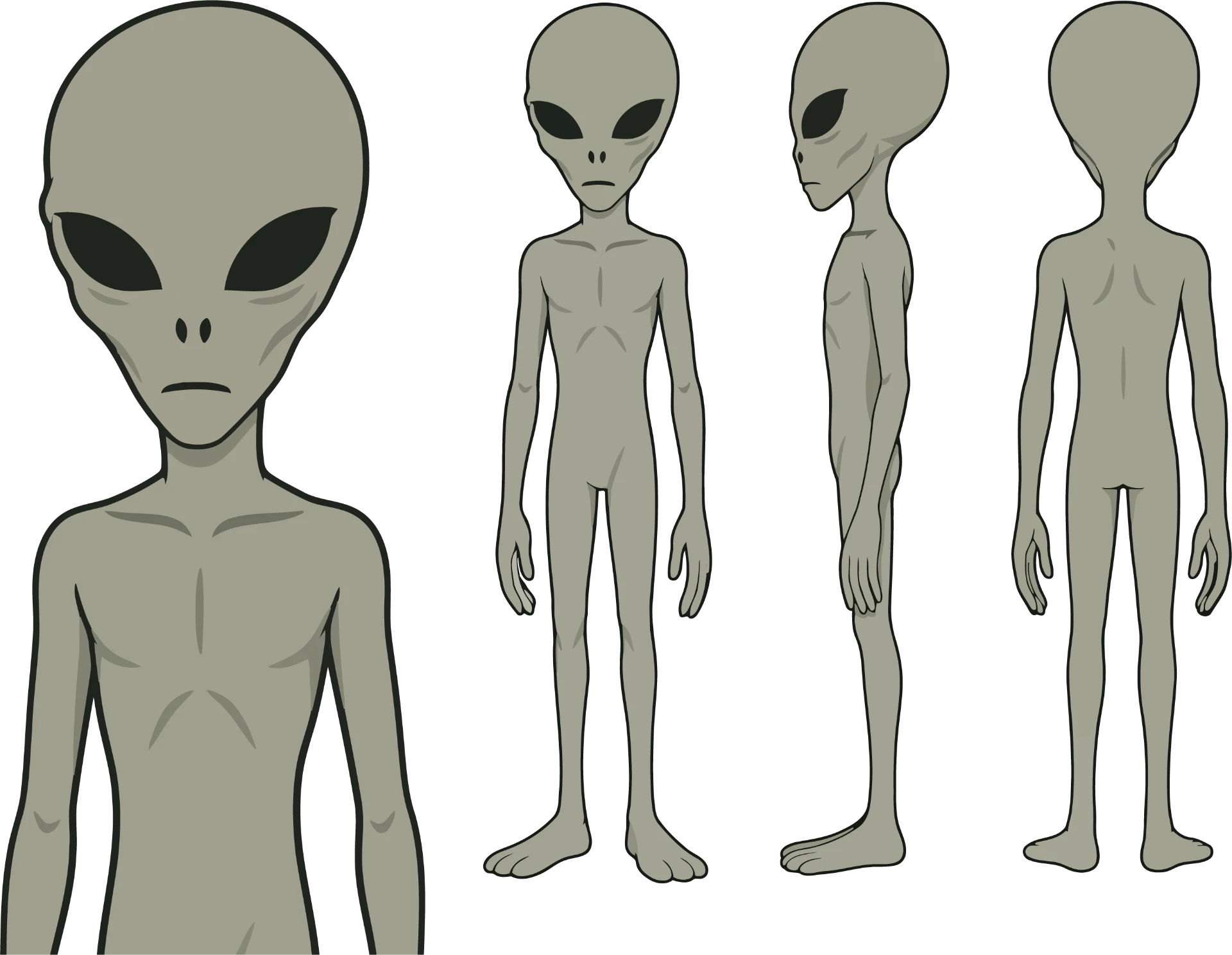 Zeta Reticulan Grey